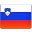 Slovenia-Flag-32.png